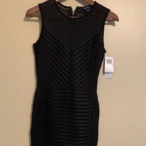 French Connection Sheer Mesh Business Dress